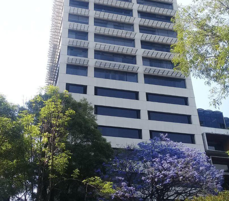 Insurgentes Sur 1787